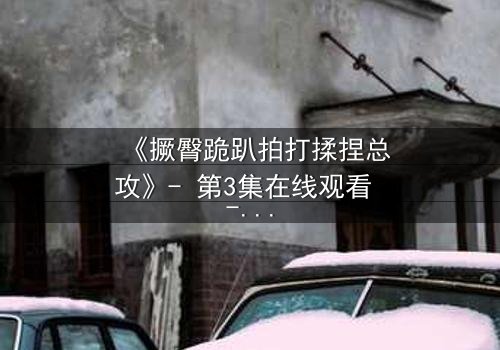 《撅臀跪趴拍打揉捏总攻》- 第3集在线观看 - 一场颠覆认知的隐秘对决