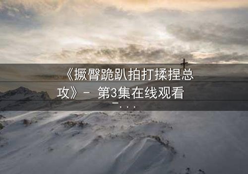 《撅臀跪趴拍打揉捏总攻》- 第3集在线观看 - 一场权力与欲望的终极对决