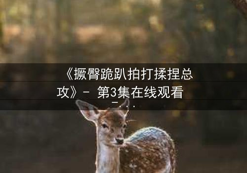 《撅臀跪趴拍打揉捏总攻》- 第3集在线观看 - 一场颠覆认知的隐秘较量