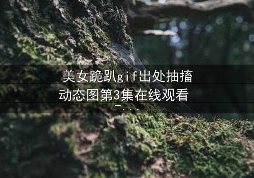 美女跪趴gif出处抽搐动态图第3集在线观看 - 揭开那令人窒息的真相