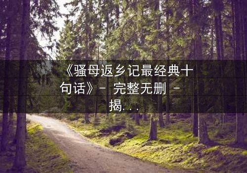 《骚母返乡记最经典十句话》- 完整无删 - 揭秘那些让你夜不能寐的台词