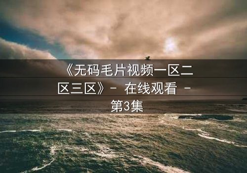 《无码毛片视频一区二区三区》- 在线观看 - 第3集