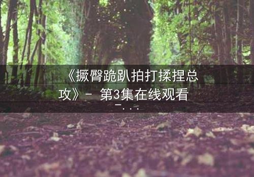 《撅臀跪趴拍打揉捏总攻》- 第3集在线观看 - 一场颠覆认知的虐恋博弈