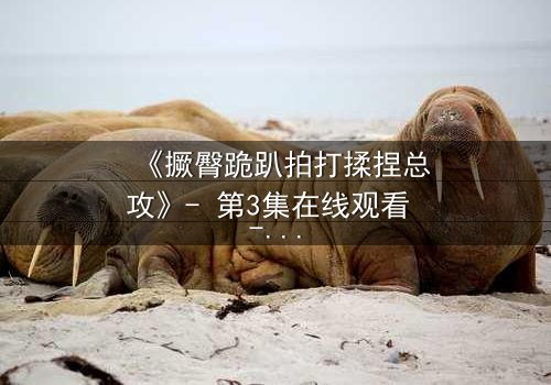 《撅臀跪趴拍打揉捏总攻》- 第3集在线观看 - 一场颠覆认知的隐秘对决