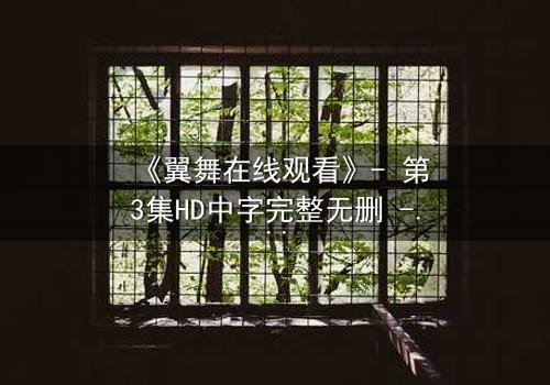 《翼舞在线观看》- 第3集HD中字完整无删 - 当舞蹈成为复仇的利刃