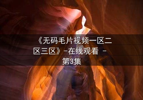 《无码毛片视频一区二区三区》-在线观看 - 第3集