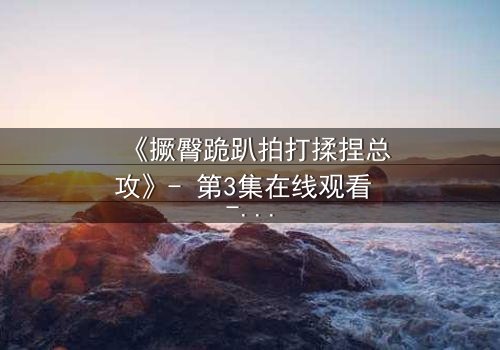 《撅臀跪趴拍打揉捏总攻》- 第3集在线观看 - 一场颠覆认知的权欲博弈