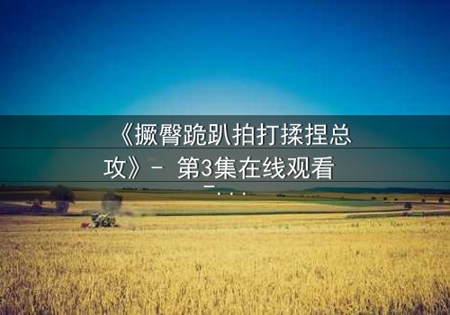 《撅臀跪趴拍打揉捏总攻》- 第3集在线观看 - 揭秘权力与欲望的巅峰对决