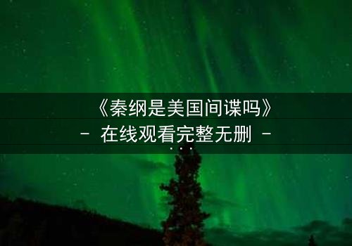 《秦纲是美国间谍吗》- 在线观看完整无删 - 揭开身份谜团,引爆谍战风暴