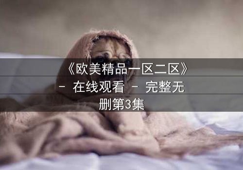 《欧美精品一区二区》- 在线观看 - 完整无删第3集