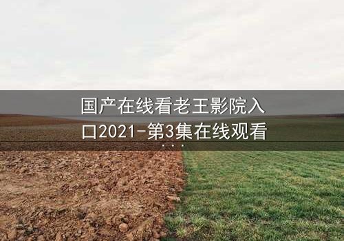 国产在线看老王影院入口2021-第3集在线观看HD中字 - 一场关于真相的致命追逐