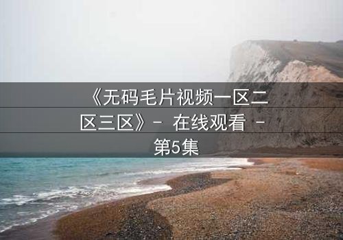 《无码毛片视频一区二区三区》- 在线观看 - 第5集