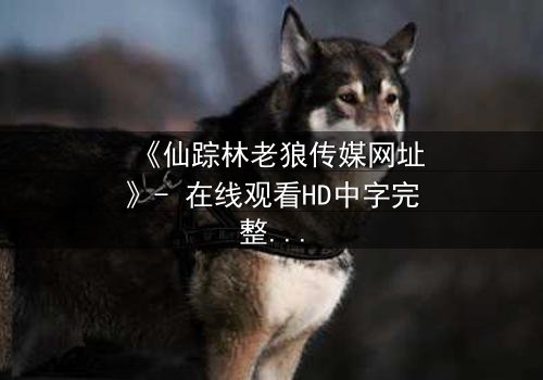 《仙踪林老狼传媒网址》- 在线观看HD中字完整无删 - 揭开隐藏的真相,你敢直面吗?