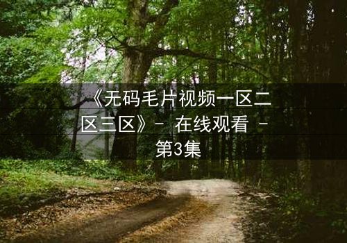 《无码毛片视频一区二区三区》- 在线观看 - 第3集