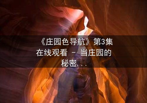 《庄园色导航》第3集在线观看 - 当庄园的秘密不再沉默