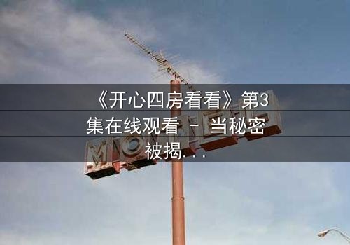 《开心四房看看》第3集在线观看 - 当秘密被揭开,谁还能全身而退?