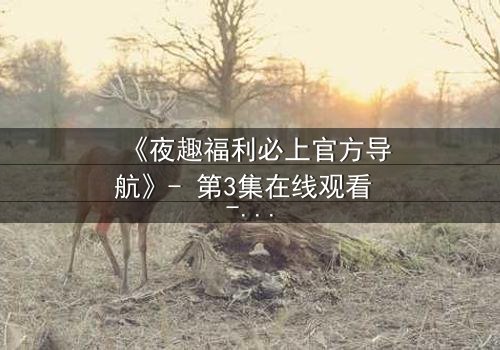 《夜趣福利必上官方导航》- 第3集在线观看 - 当欲望与理智在午夜交锋