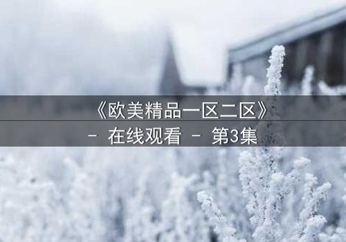 《欧美精品一区二区》- 在线观看 - 第3集