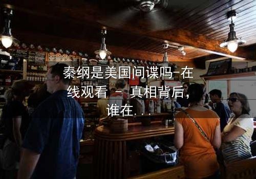 秦纲是美国间谍吗-在线观看 - 真相背后,谁在操控这场致命游戏?