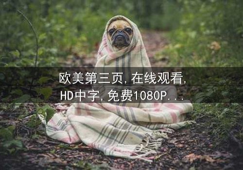 《欧美第三页》- 在线观看HD中字 - 免费1080P超清完整无删