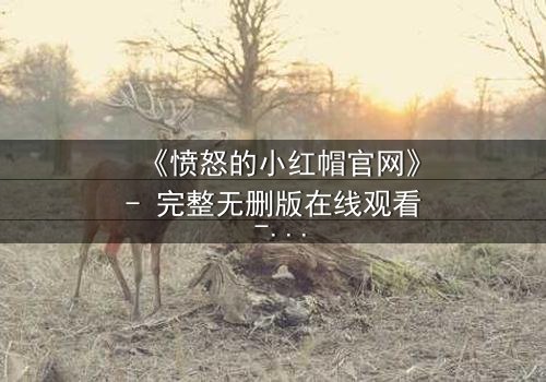 《愤怒的小红帽官网》- 完整无删版在线观看 - 当童话被鲜血染红,谁才是真正的猎物?