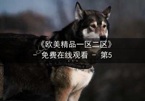 《欧美精品一区二区》- 免费在线观看 - 第5集HD中字