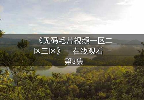 《无码毛片视频一区二区三区》- 在线观看 - 第3集