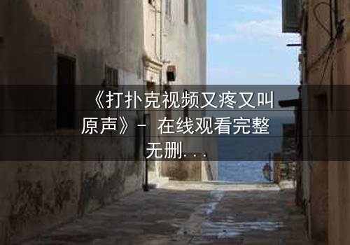 《打扑克视频又疼又叫原声》- 在线观看完整无删 - 一场牌局背后的生死较量