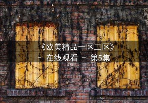 《欧美精品一区二区》- 在线观看 - 第5集