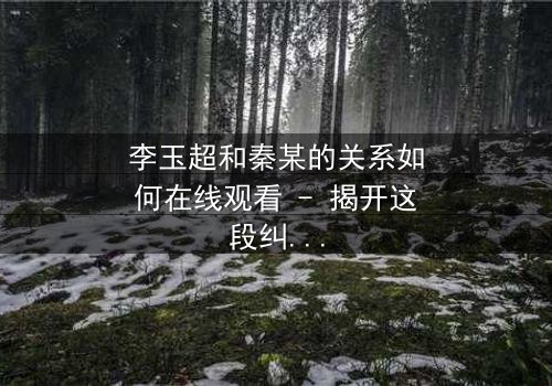 李玉超和秦某的关系如何在线观看 - 揭开这段纠缠不清的恩怨情仇