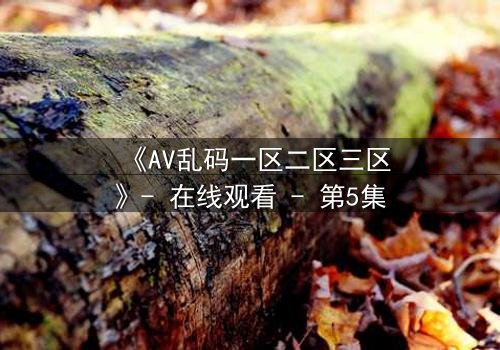 《AV乱码一区二区三区》- 在线观看 - 第5集