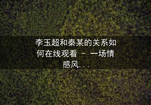 李玉超和秦某的关系如何在线观看 - 一场情感风暴即将引爆!