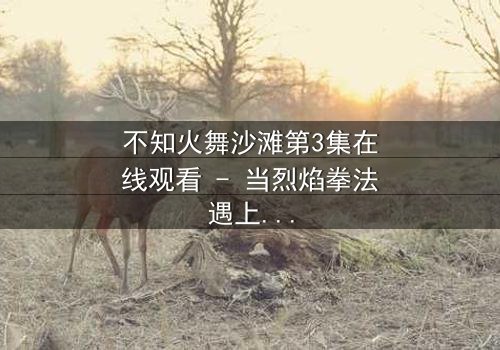 不知火舞沙滩第3集在线观看 - 当烈焰拳法遇上禁忌之恋