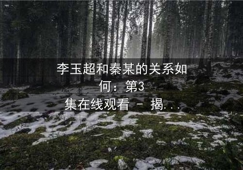 李玉超和秦某的关系如何:第3集在线观看 - 揭开隐藏的真相,引爆情感风暴