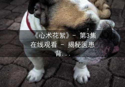 《心术花絮》- 第3集在线观看 - 揭秘医患背后的惊天秘密