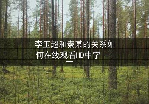 李玉超和秦某的关系如何在线观看HD中字 - 一场情感风暴即将爆发