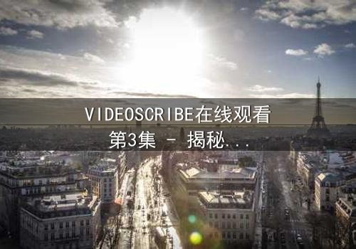 VIDEOSCRIBE在线观看第3集 - 揭秘数字迷局背后的惊天秘密