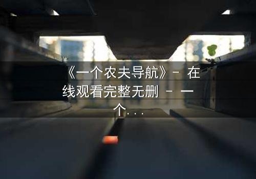 《一个农夫导航》- 在线观看完整无删 - 一个农夫如何用导航改写命运?