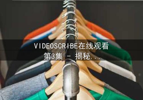 VIDEOSCRIBE在线观看第3集 - 揭秘数字时代的隐秘战争 - 真相与谎言仅一线之隔