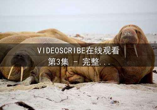 VIDEOSCRIBE在线观看第3集 - 完整无删 - 揭开数字迷宫的终极秘密