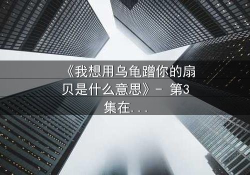 《我想用乌龟蹭你的扇贝是什么意思》- 第3集在线观看 - 一场隐喻风暴中的情感博弈