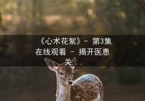 《心术花絮》- 第3集在线观看 - 揭开医患关系背后的惊天秘密
