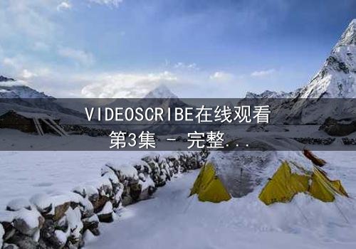 VIDEOSCRIBE在线观看第3集 - 完整无删 - 揭开数字迷局背后的致命真相