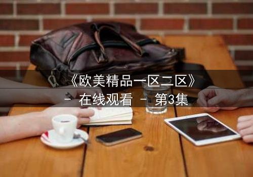 《欧美精品一区二区》- 在线观看 - 第3集