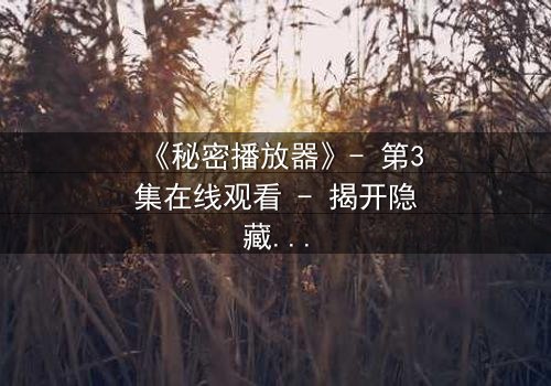 《秘密播放器》- 第3集在线观看 - 揭开隐藏的真相,你敢点开吗?