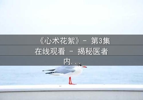 《心术花絮》- 第3集在线观看 - 揭秘医者内心的暗流涌动