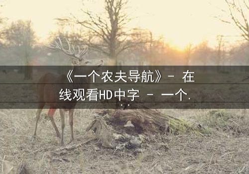 《一个农夫导航》- 在线观看HD中字 - 一个农夫导航带你揭开隐藏的阴谋