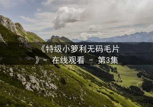 《特级小箩利无码毛片》- 在线观看 - 第3集