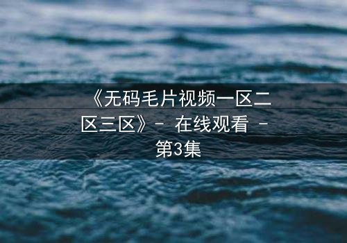 《无码毛片视频一区二区三区》- 在线观看 - 第3集