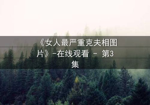 《女人最严重克夫相图片》-在线观看 - 第3集